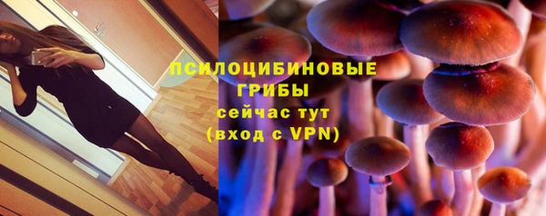 твердый Балахна