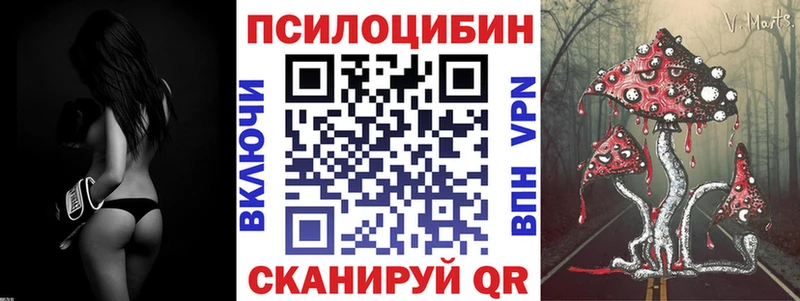 Купить где  Кашин  Псилоцибиновые грибы прущие грибы 